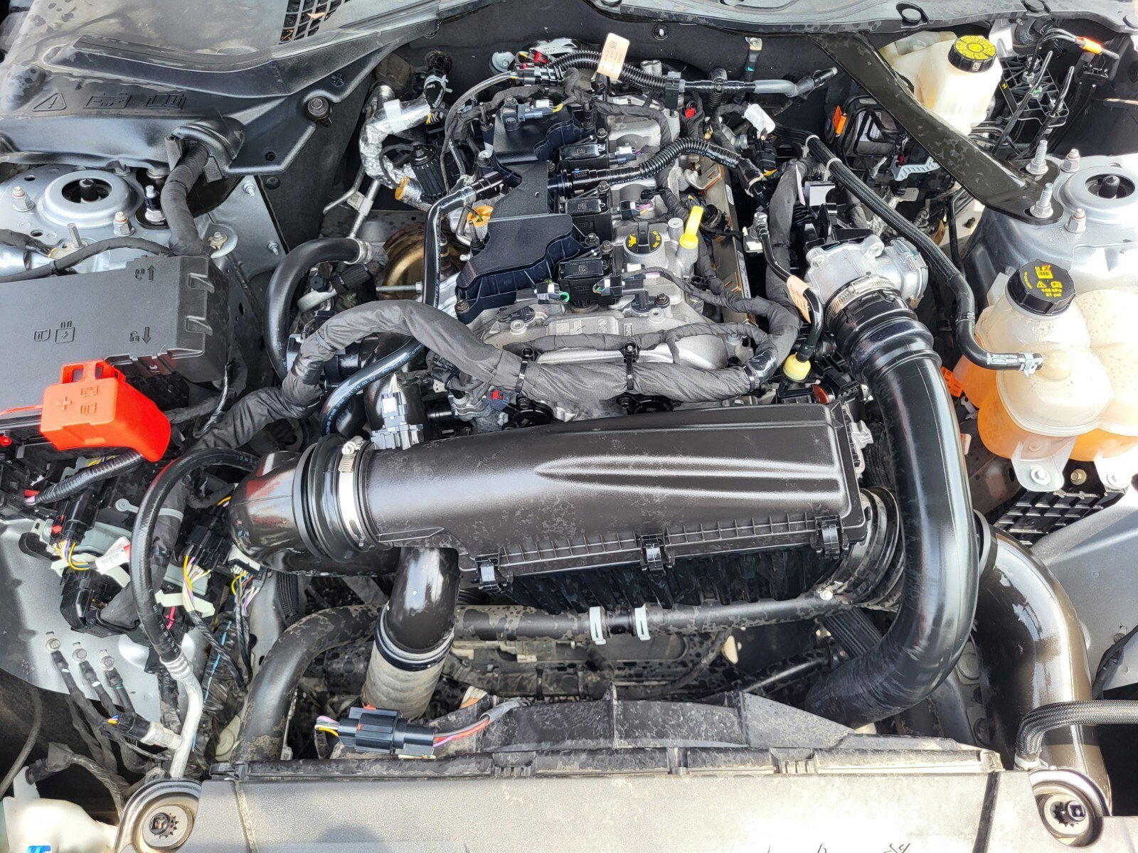 Certified 2024 Ford Mustang Premium RWD image 29
