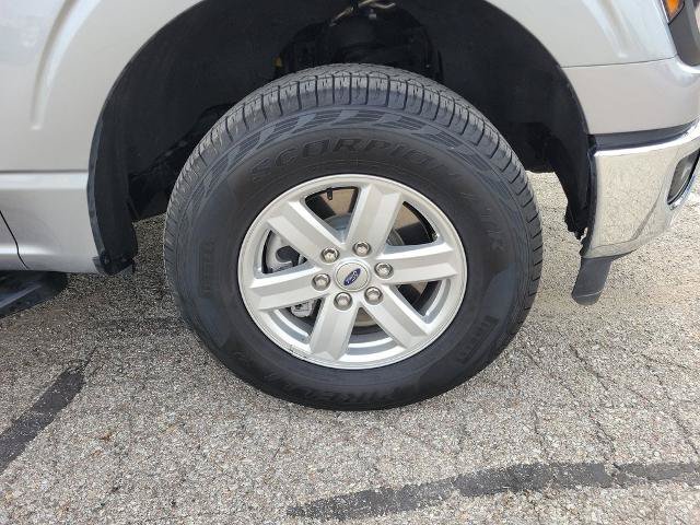 Certified 2024 Ford F150 XL w/ Equipment Group 103A High AWD/4WD image 5