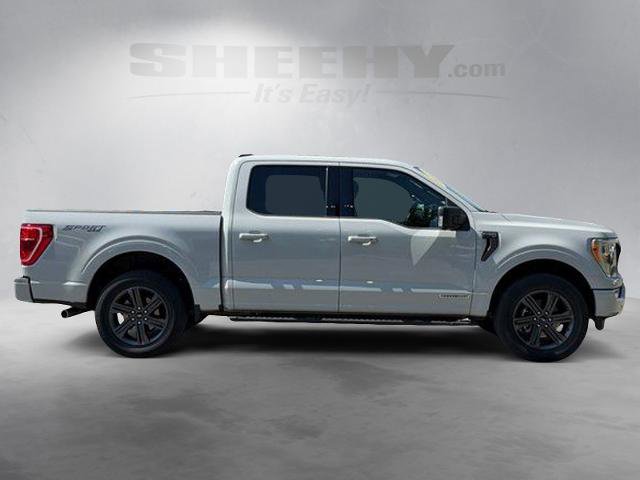 Certified 2023 Ford F150 XLT w/ Equipment Group 302A High AWD/4WD image 10