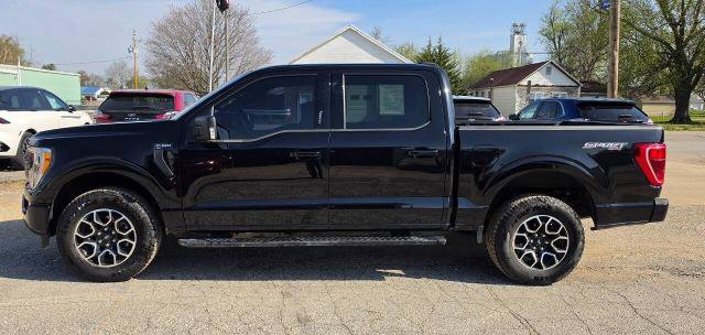 Certified 2023 Ford F150 XLT w/ Equipment Group 302A High AWD/4WD image 4