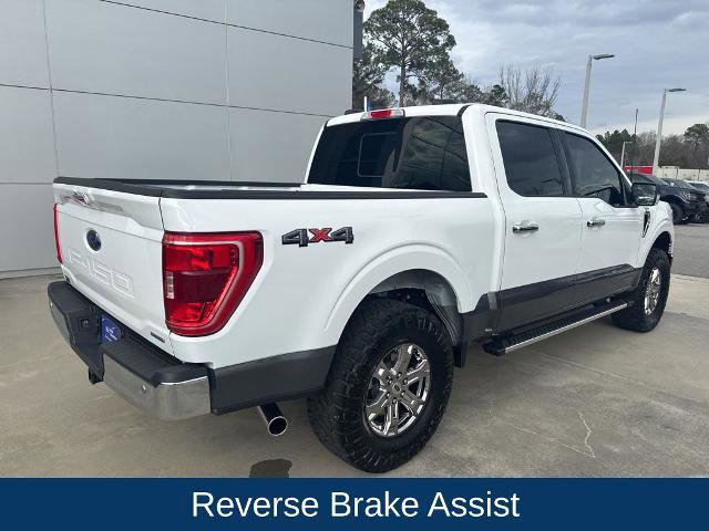 Certified 2023 Ford F150 XLT w/ Equipment Group 302A High image 6