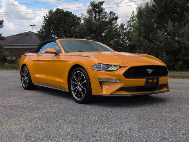 Certified 2019 Ford Mustang Premium w/ Equipment Group 201A RWD image 1