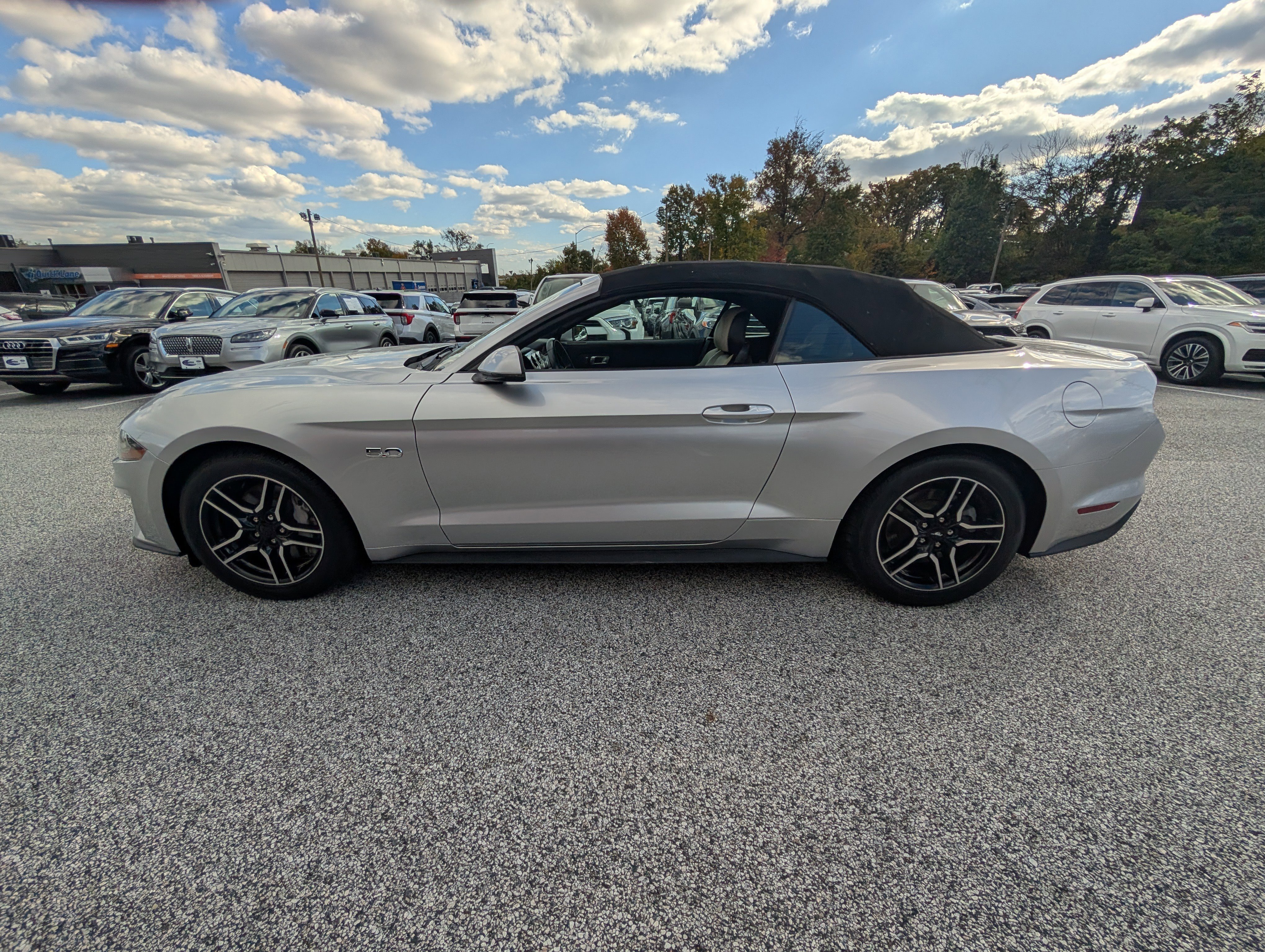 Certified 2019 Ford Mustang GT Premium image 3