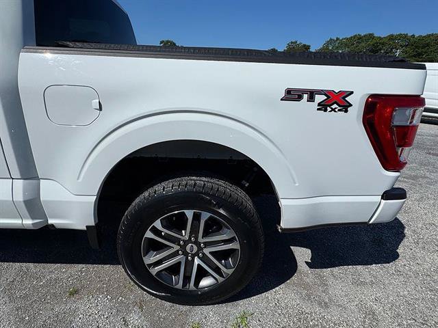 Certified 2023 Ford F150 XL w/ STX Appearance Package AWD/4WD image 8