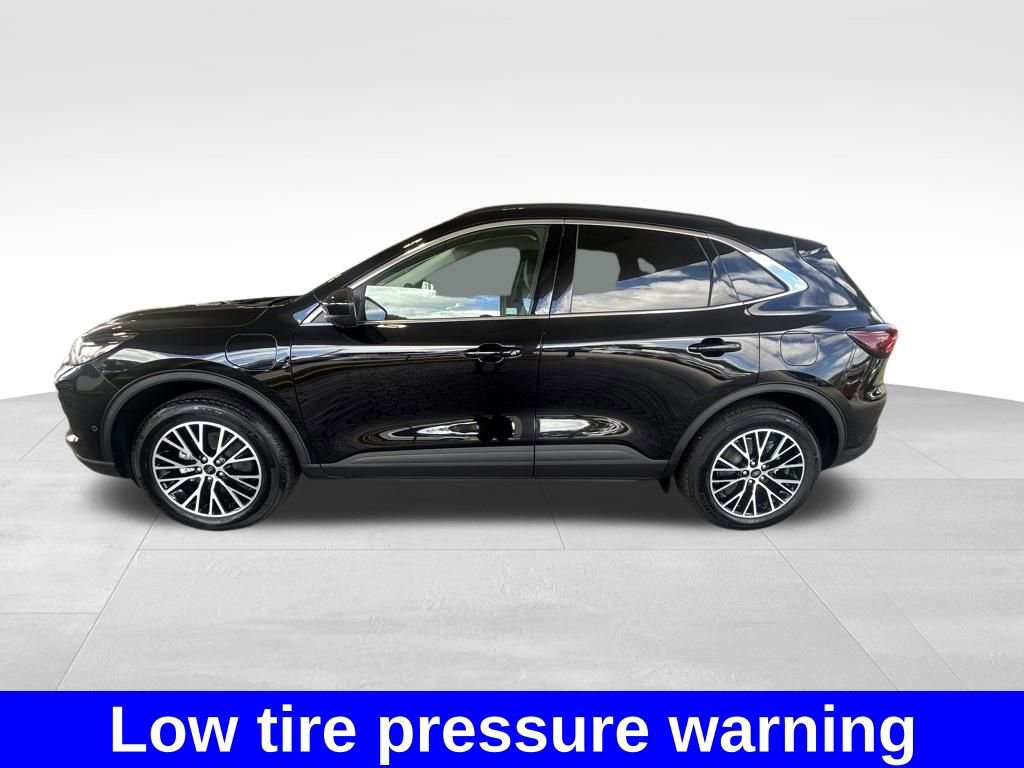 Certified 2024 Ford Escape SE w/ PHEV Premium Package image 6