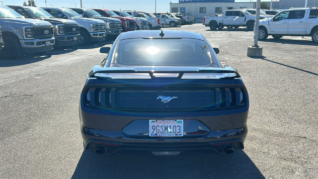 Certified 2023 Ford Mustang Coupe w/ Equipment Group 101A RWD image 4