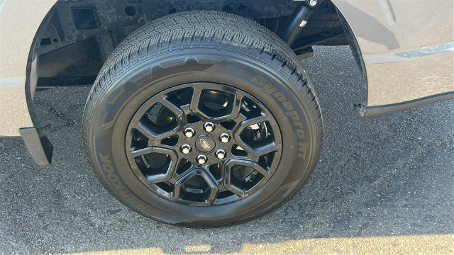 Certified 2025 Ford F150 STX RWD image 6