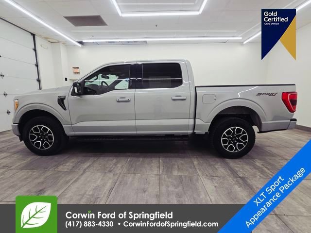 Certified 2023 Ford F150 XLT w/ Equipment Group 302A High image 5