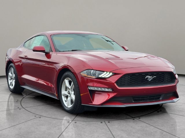 Certified 2019 Ford Mustang Coupe RWD image 14