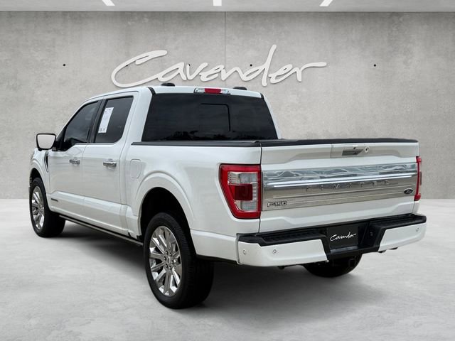 Certified 2023 Ford F150 Limited AWD/4WD image 15