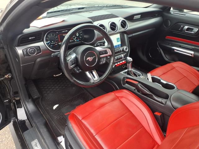 Certified 2022 Ford Mustang GT Premium w/ Equipment Group 401A image 14