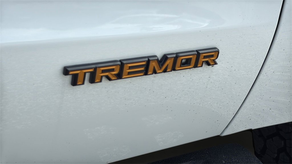 Certified 2025 Ford Expedition Tremor image 19