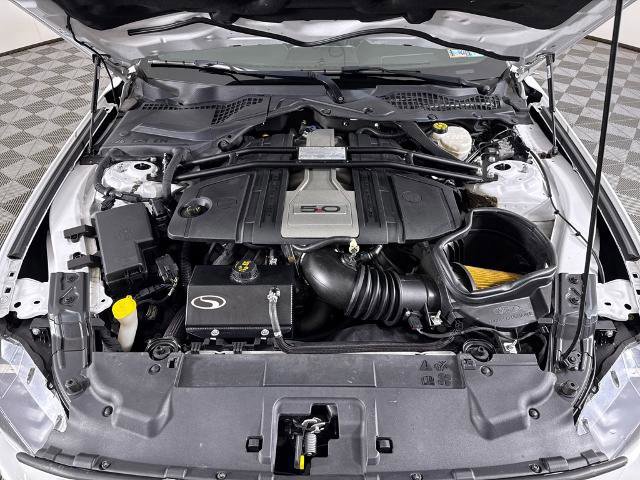 Certified 2019 Ford Mustang GT Premium w/ Equipment Group 401A image 10