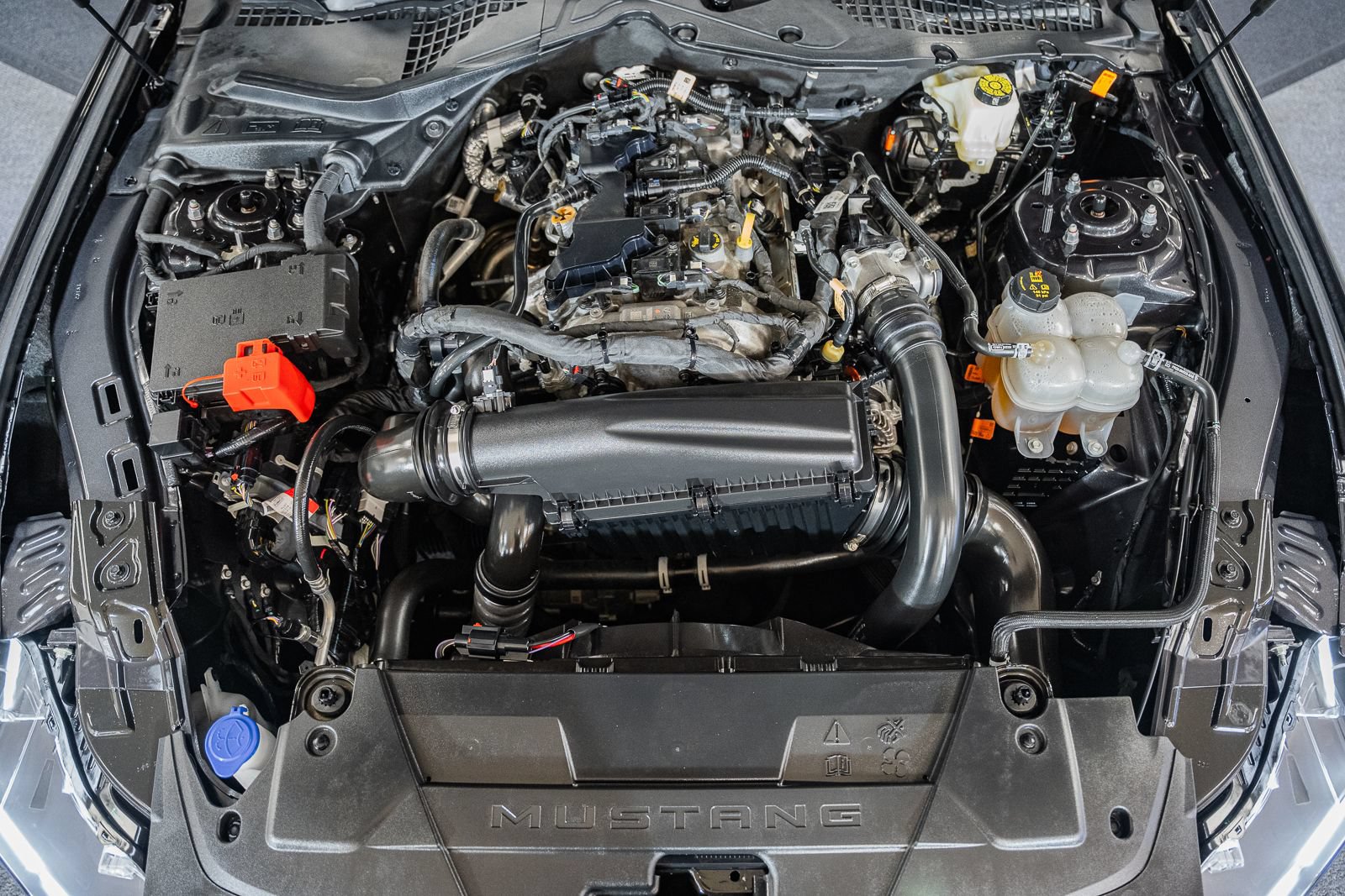 Certified 2024 Ford Mustang Premium RWD image 21
