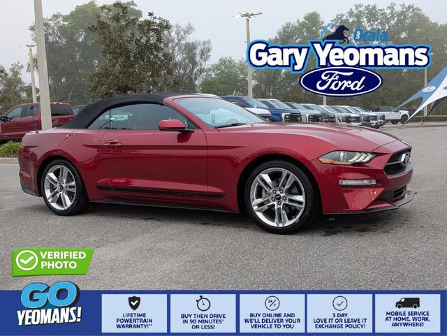 Certified 2019 Ford Mustang Premium w/ Pony Package image 7
