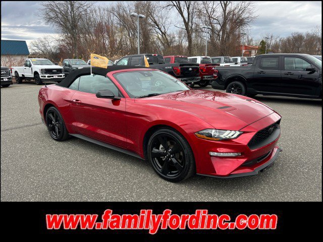 Certified 2023 Ford Mustang Premium w/ Equipment Group 201A RWD image 8