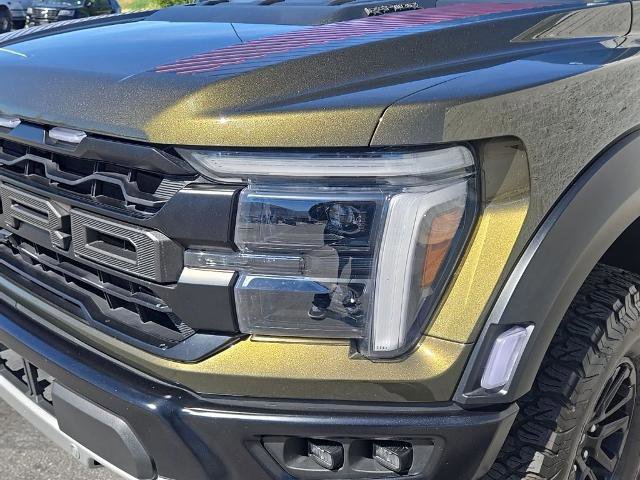 Certified 2024 Ford F150 Raptor image 10