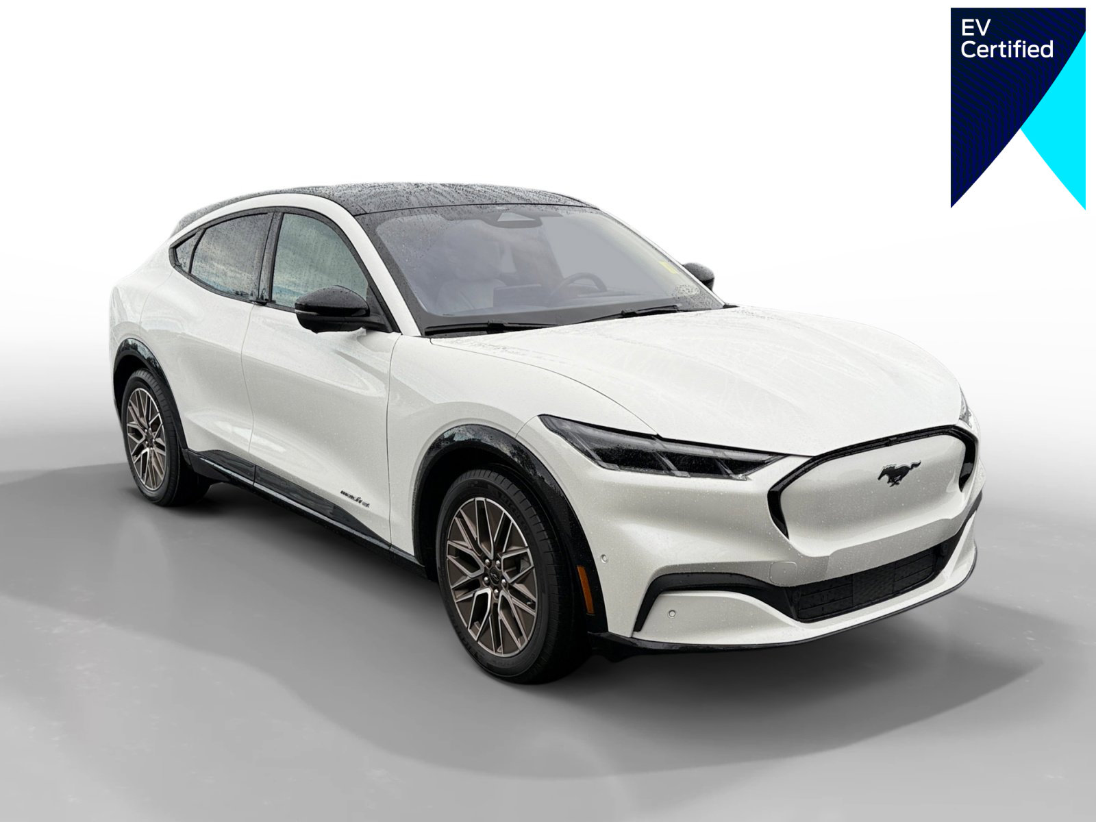 Certified 2024 Ford Mustang Mach-E Premium image 1