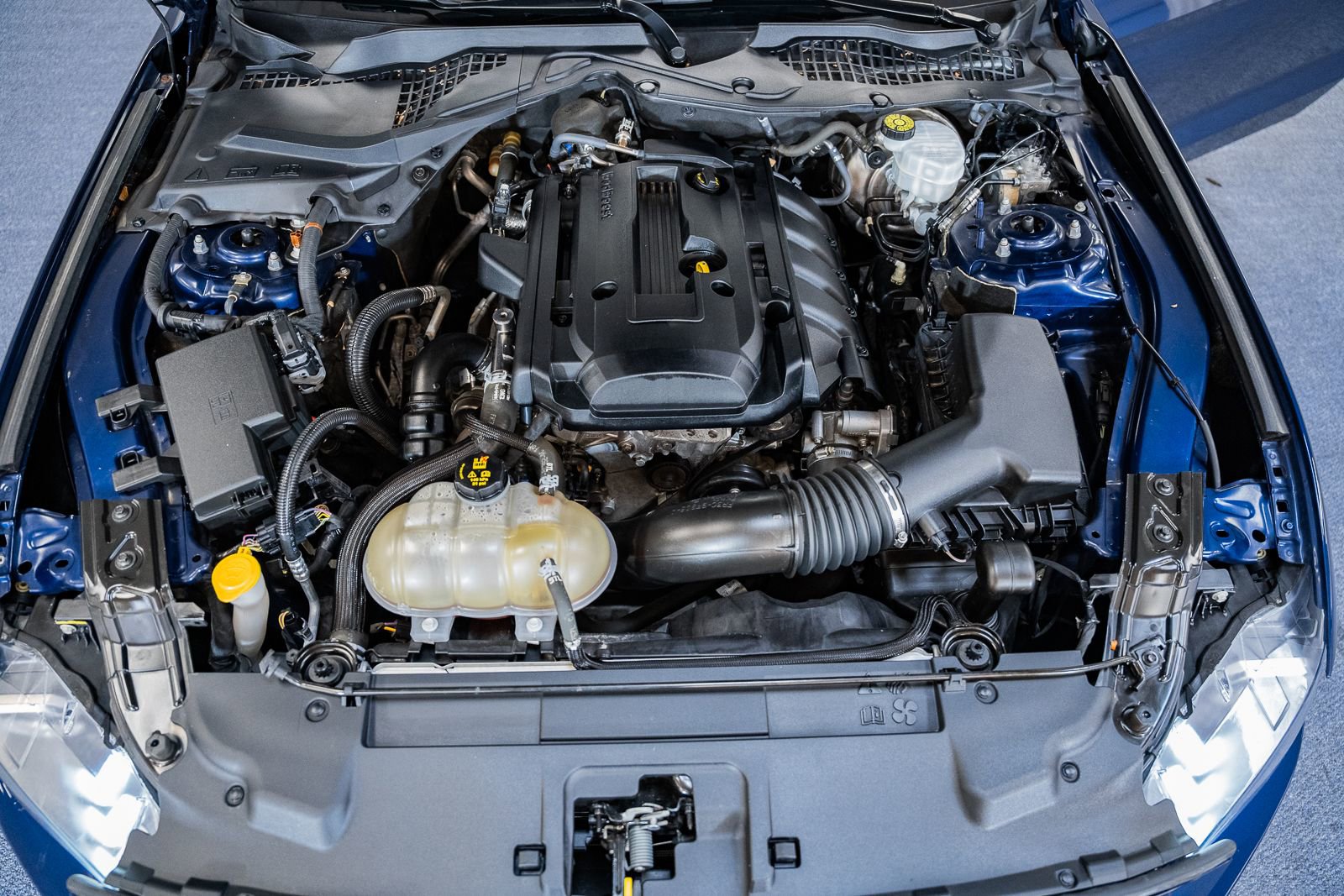 Certified 2019 Ford Mustang Coupe image 22