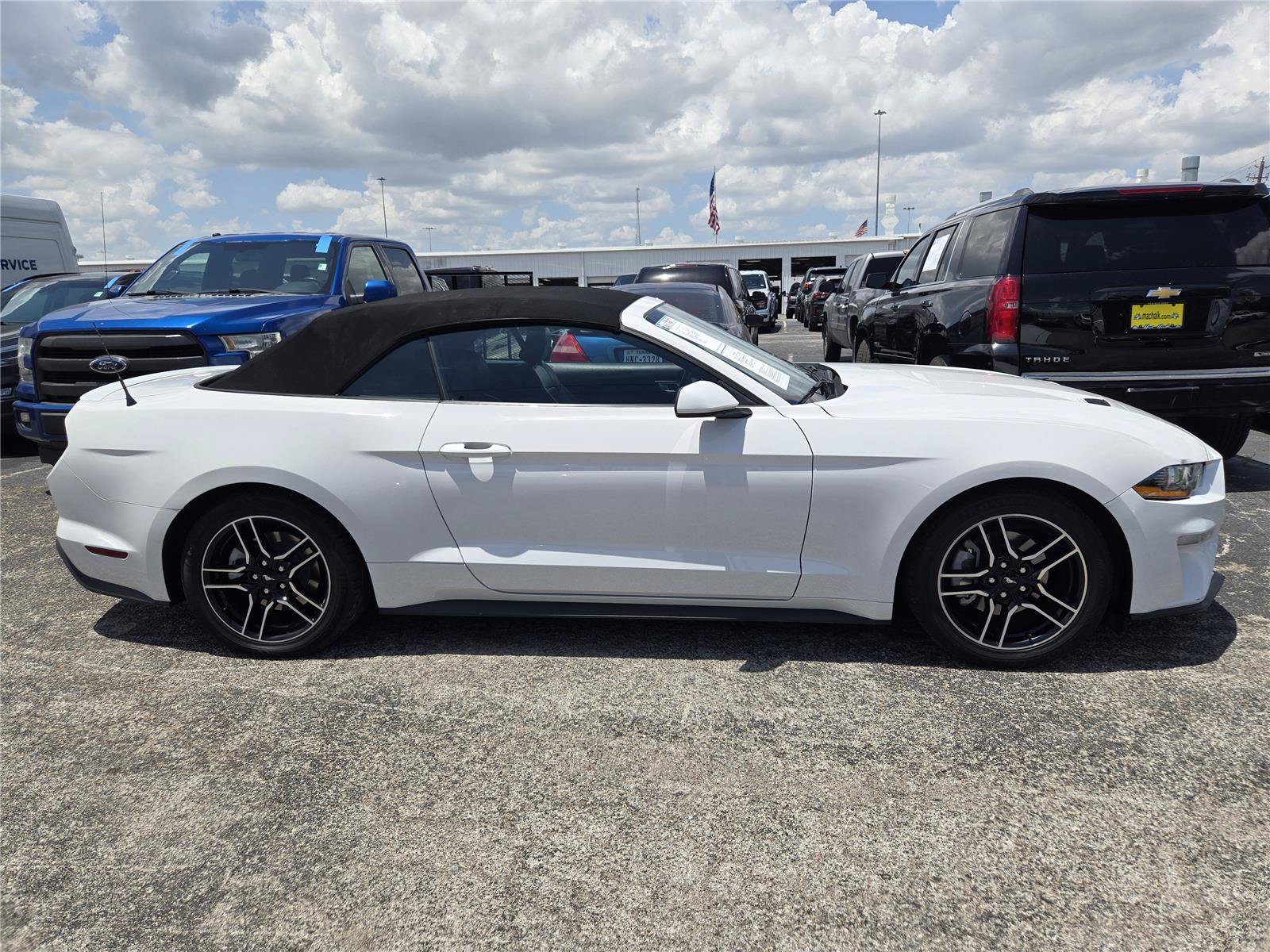 Certified 2021 Ford Mustang Premium RWD image 4