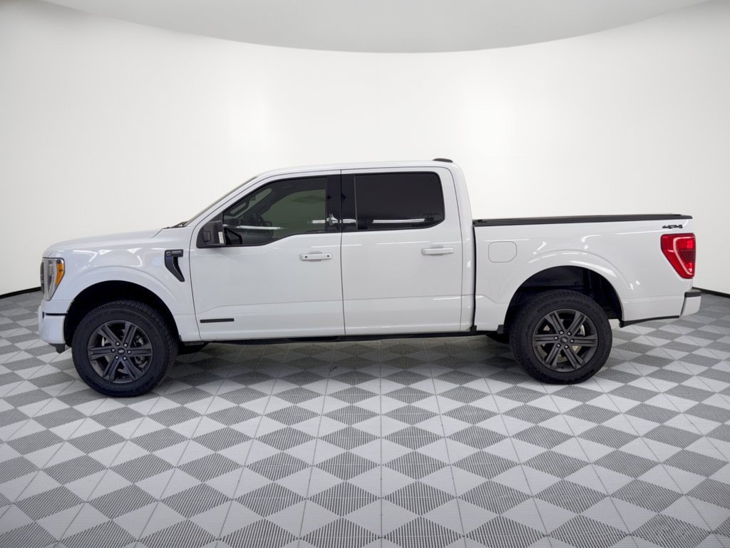 Certified 2023 Ford F150 XLT w/ Equipment Group 302A High AWD/4WD image 2