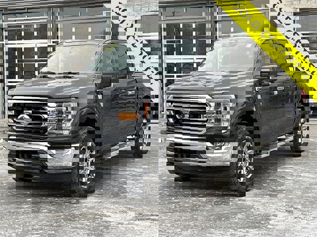 Certified 2023 Ford F150 XLT w/ Equipment Group 302A High image 4