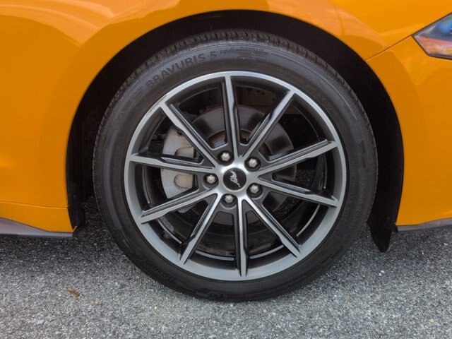 Certified 2019 Ford Mustang Premium w/ Equipment Group 201A RWD image 11