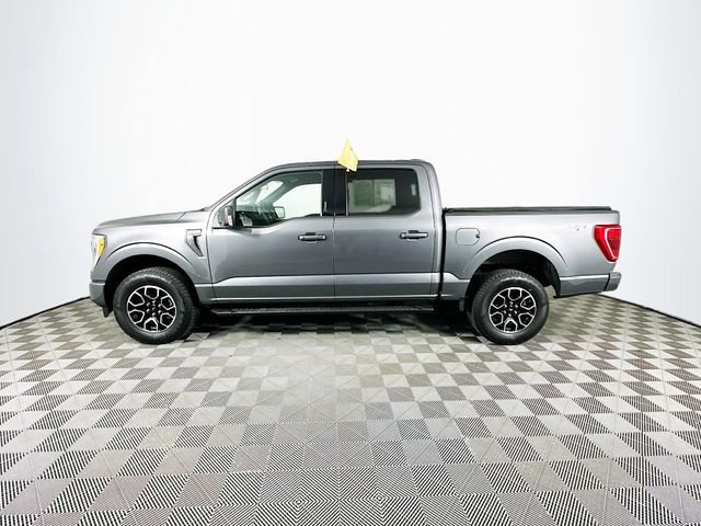 Certified 2023 Ford F150 XLT w/ Equipment Group 302A High image 2
