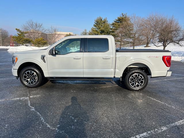 Certified 2023 Ford F150 XLT w/ Equipment Group 302A High image 3