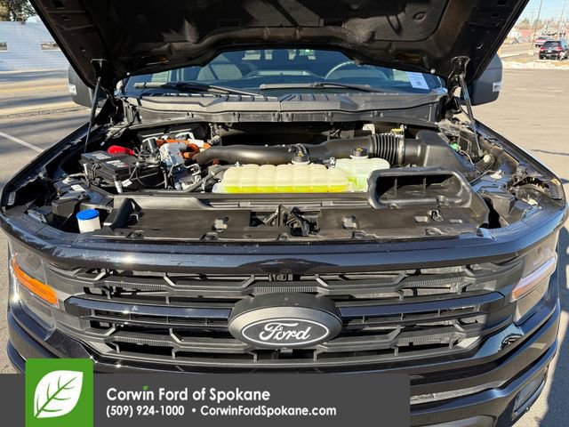 Certified 2024 Ford F150 XLT w/ Equipment Group 302A MID image 43