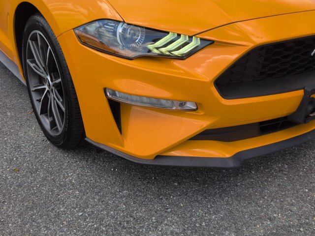 Certified 2019 Ford Mustang Premium w/ Equipment Group 201A RWD image 10