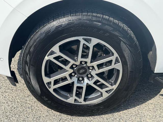 Certified 2025 Ford Expedition Max Active image 22