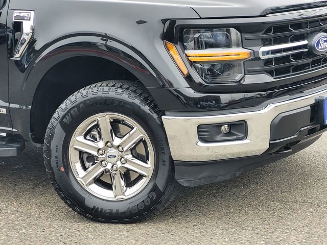 Certified 2025 Ford F150 XLT w/ Equipment Group 301A Standard image 6