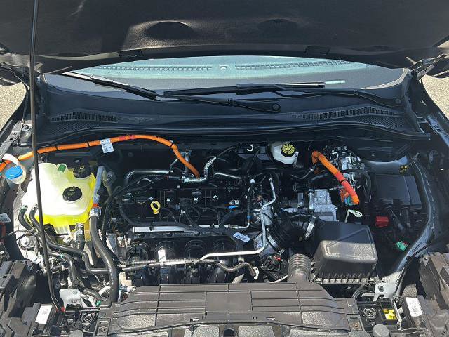 Certified 2025 Ford Escape ST-Line w/ Equipment Group 301A image 33