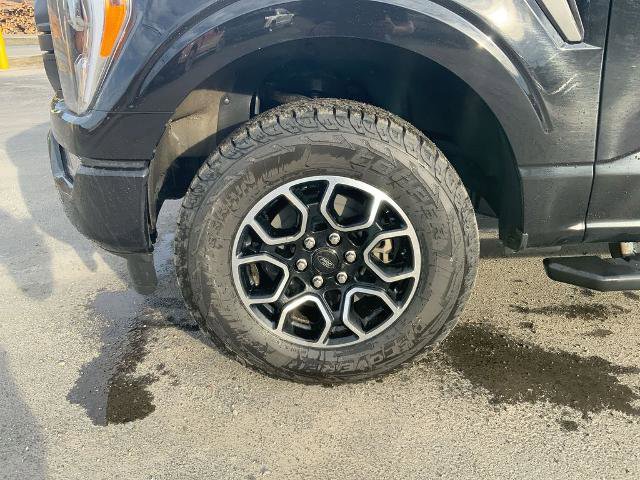 Certified 2023 Ford F150 XLT w/ Equipment Group 302A High AWD/4WD image 10