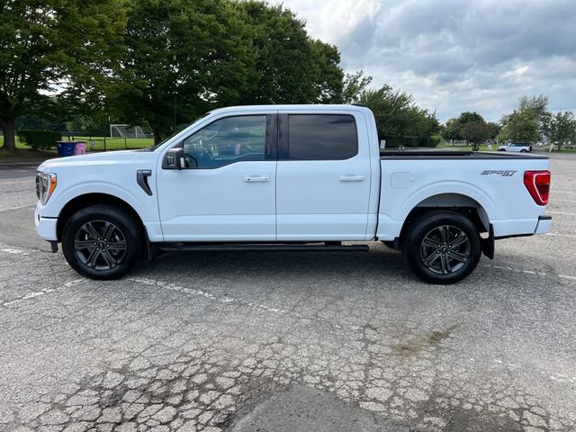 Certified 2023 Ford F150 XLT w/ Equipment Group 302A High AWD/4WD image 6