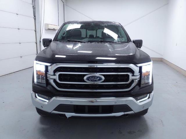 Certified 2023 Ford F150 XLT w/ Equipment Group 302A High image 8