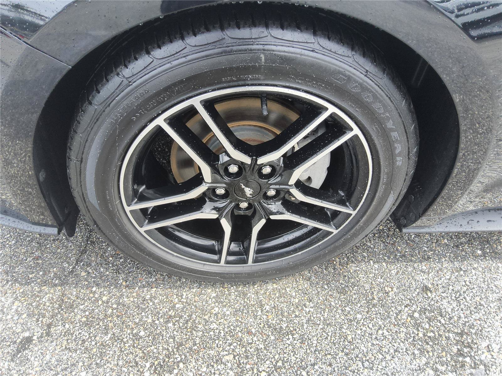 Certified 2019 Ford Mustang Coupe w/ Equipment Group 101A RWD image 9