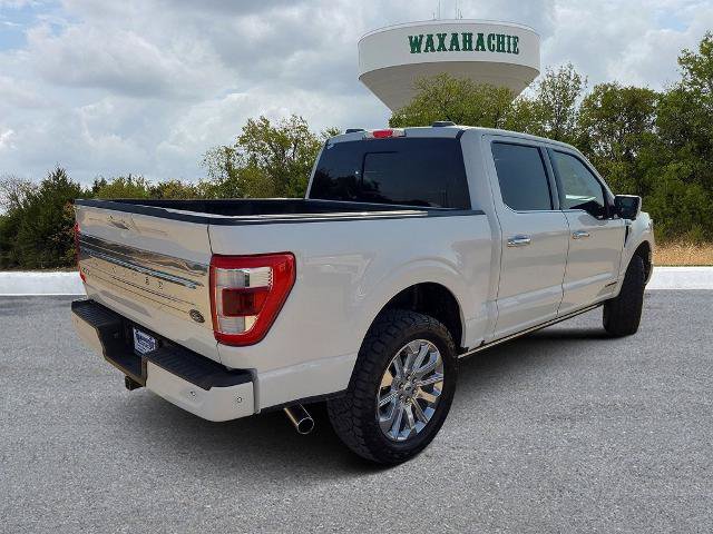 Certified 2023 Ford F150 Limited AWD/4WD image 5