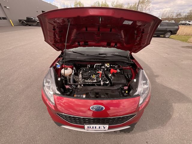 Certified 2022 Ford Escape SE w/ Cold Weather Package AWD/4WD image 26
