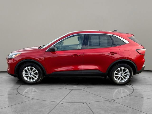 Certified 2022 Ford Escape SE FWD image 7