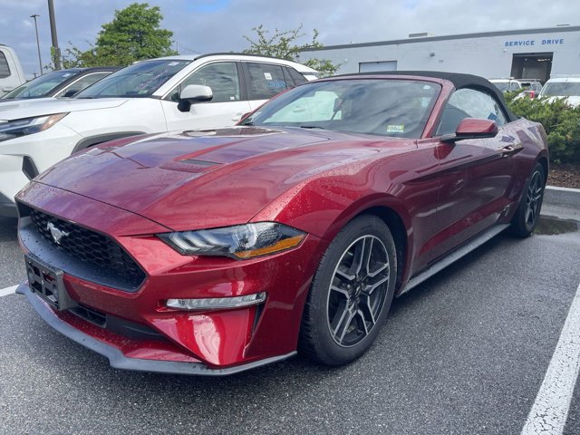Certified 2019 Ford Mustang Premium RWD image 2