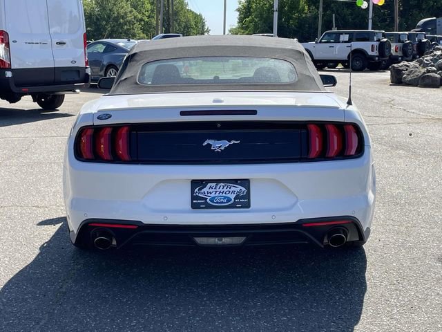 Certified 2019 Ford Mustang Premium w/ Equipment Group 201A RWD image 6