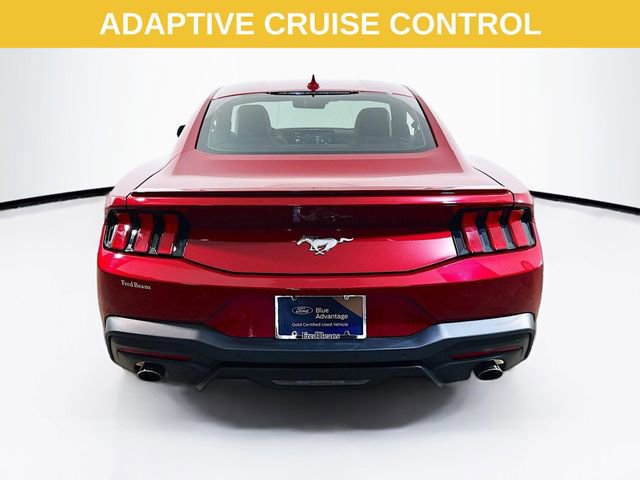 Certified 2024 Ford Mustang Premium image 3