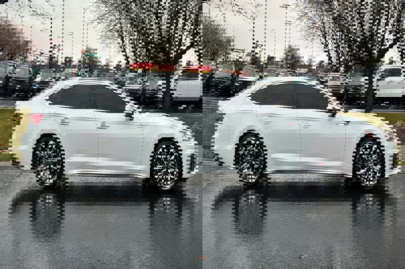 Used 2023 Audi S5 Premium Plus w/ Premium Plus Package image 8