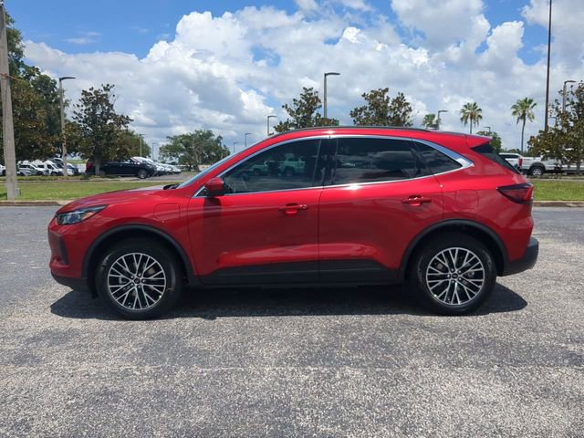 Certified 2025 Ford Escape SE w/ PHEV Premium Package FWD image 8