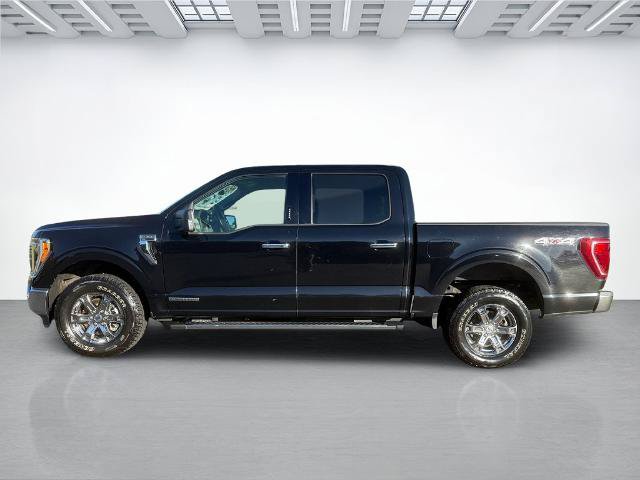 Certified 2021 Ford F150 XLT w/ Equipment Group 302A High AWD/4WD image 5