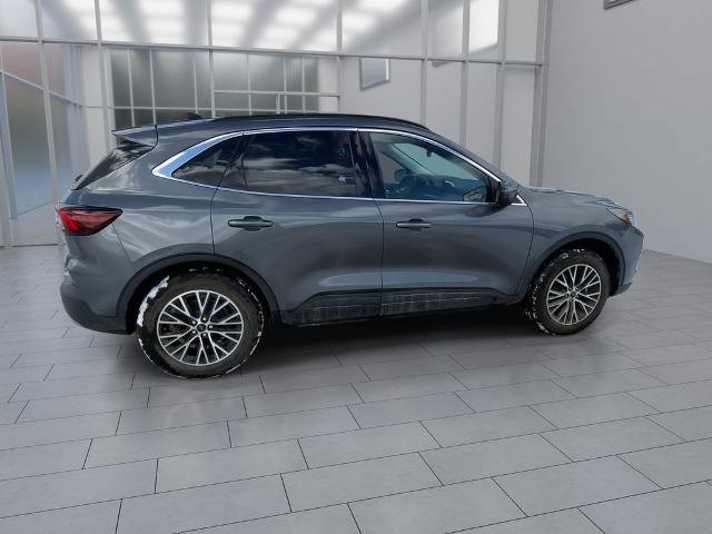 Certified 2023 Ford Escape SE w/ PHEV Premium Package image 3