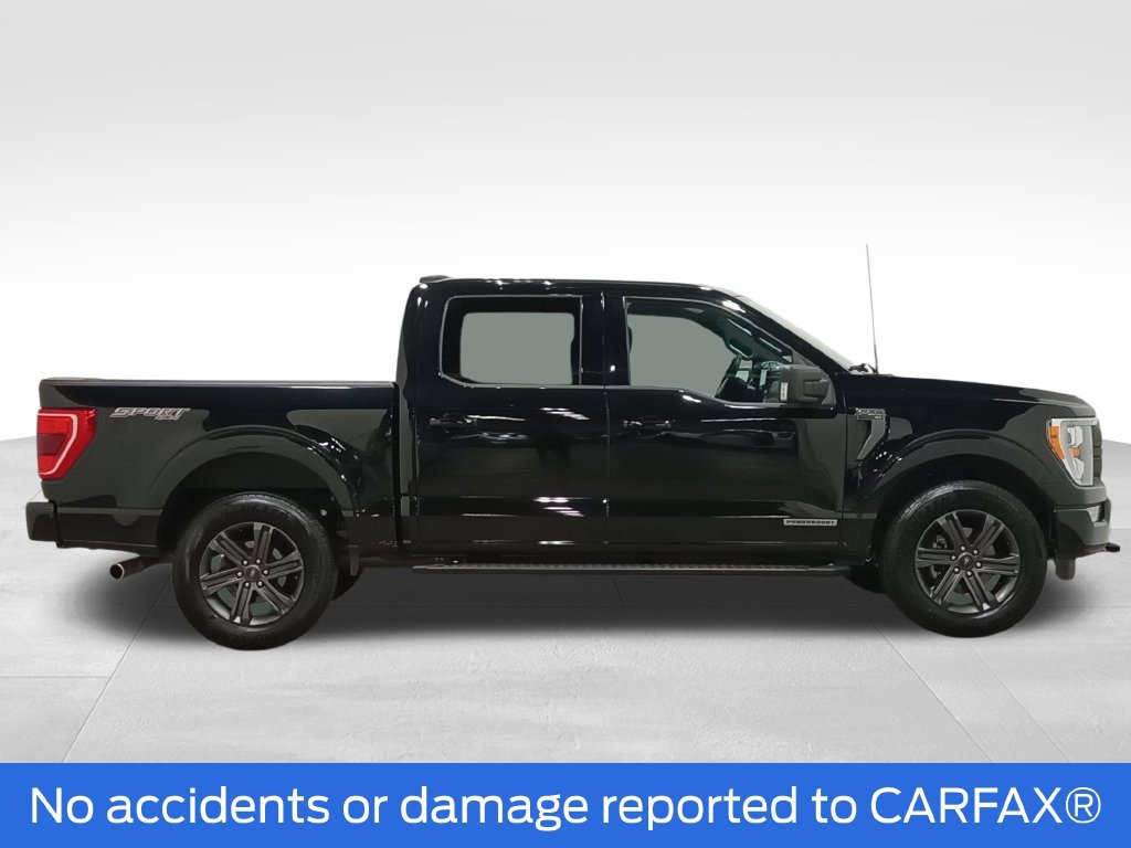 Certified 2023 Ford F150 XLT w/ Equipment Group 302A High AWD/4WD image 2