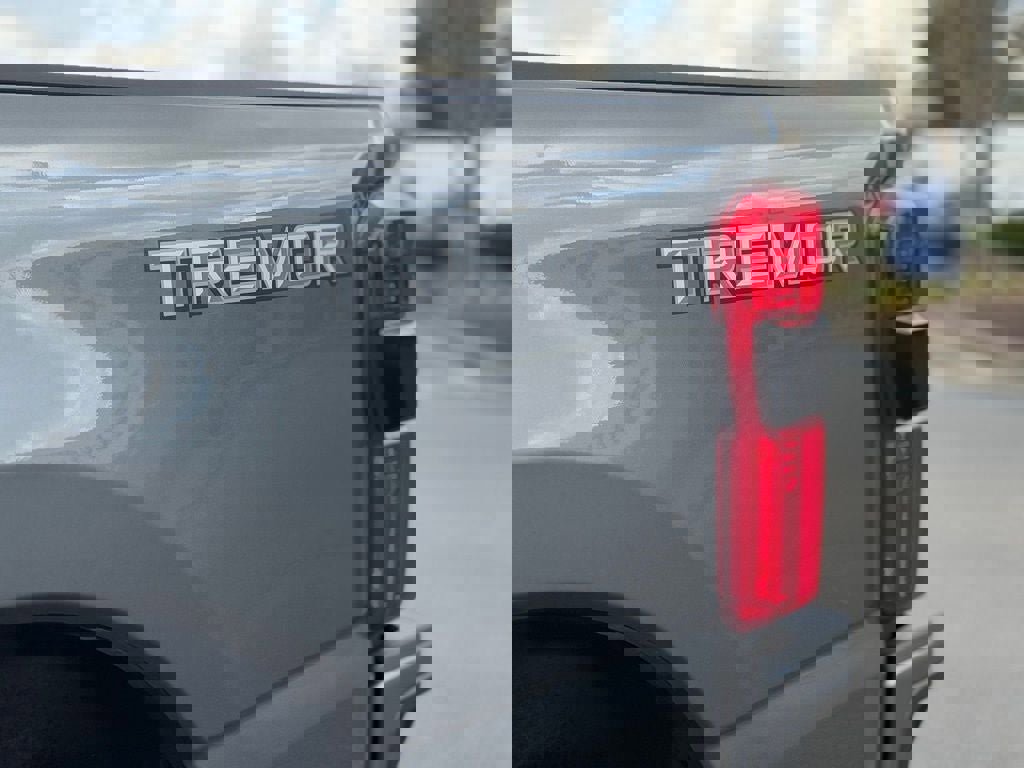 Certified 2026 Ford F350 Platinum w/ Tremor Off-Road Package image 12